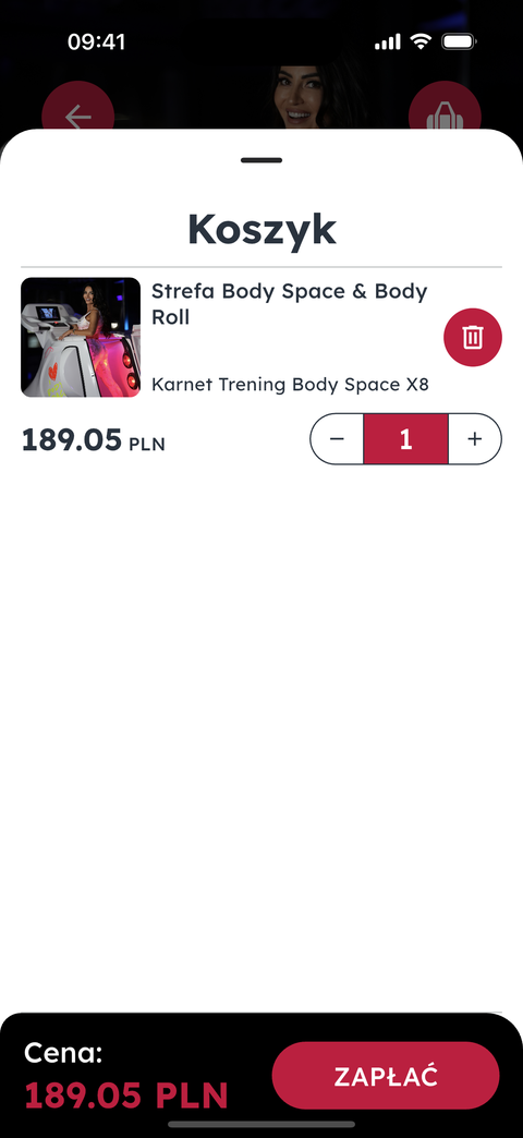 The cart with one pass, its price and the checkout button.